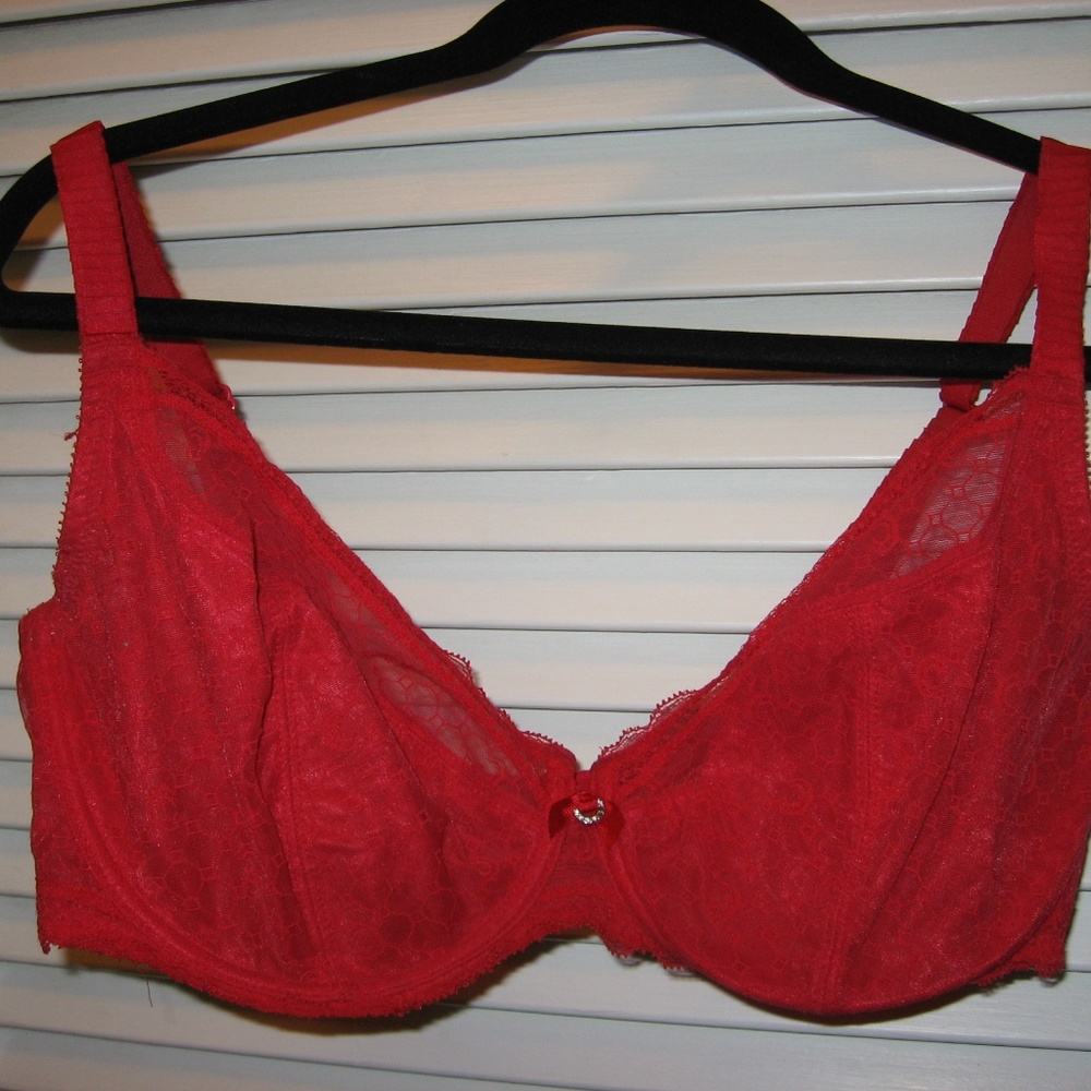 Chantelle Red Lined Lace Underwire Bra 38G